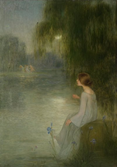Dream by Joan Brull